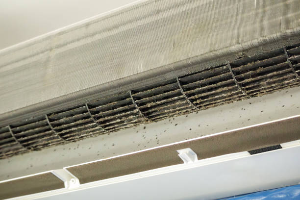 Best Ductwork Cleaning Services  in Westport, NC